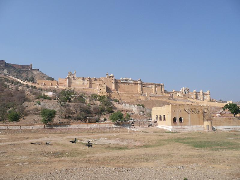 P1060613- Fort Amber a Jaipur.JPG - Fort Amber à Jaipur